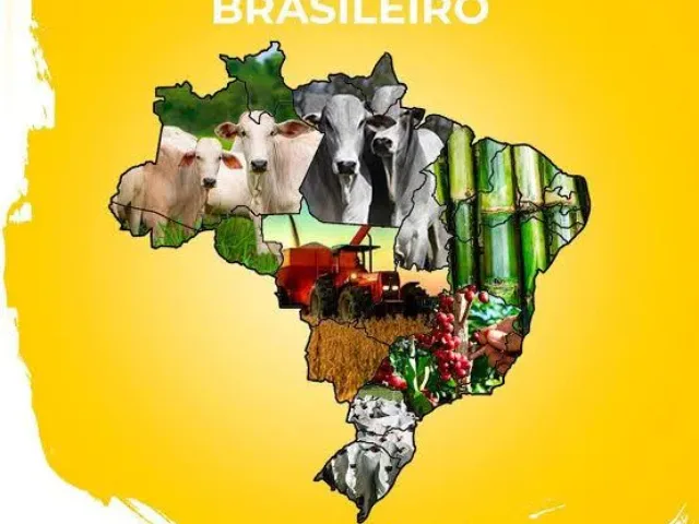 Imagem do grupo de WhatsApp Agribusiness Commodities