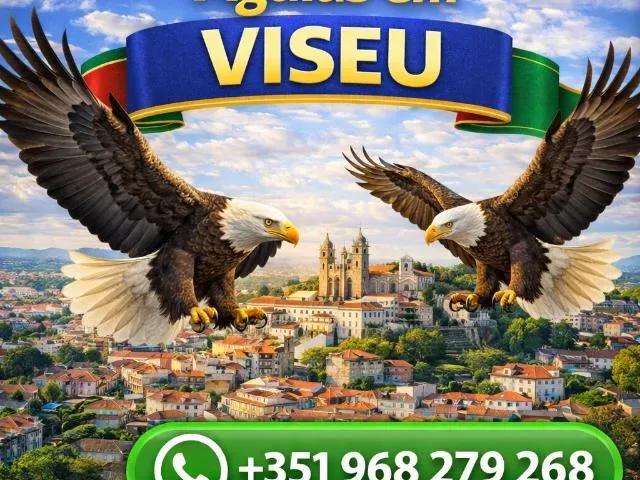 Imagem do grupo de WhatsApp Águias Em Viseu