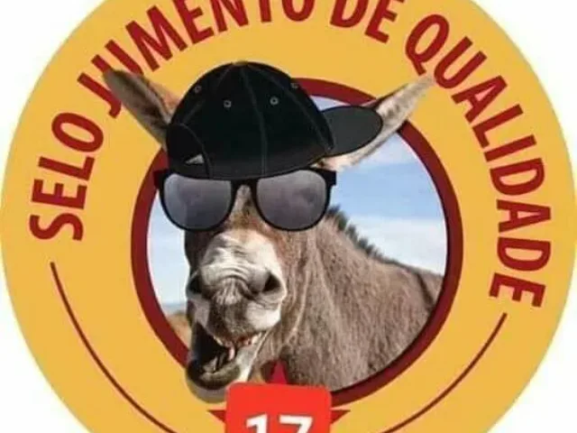 Imagem do grupo de WhatsApp Alegria Vídeos Engraçados