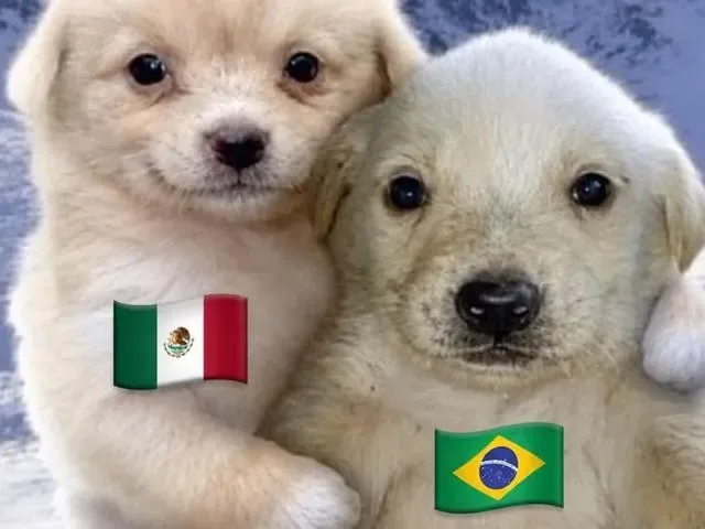 Imagem do grupo de WhatsApp Amigos Y Amigas