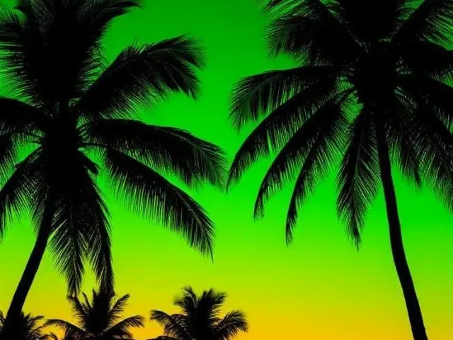 Imagem do grupo de WhatsApp Amizade e Diversão