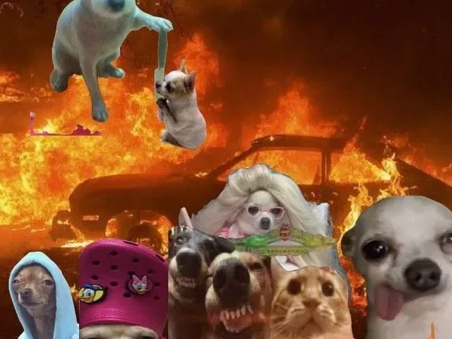 Imagem do grupo de WhatsApp Amizades
