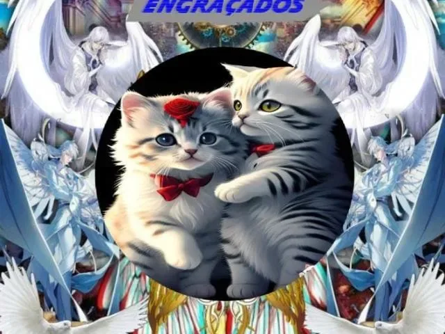 Imagem do grupo de WhatsApp Amizades Vídeos Engraçados Balaio de Gato