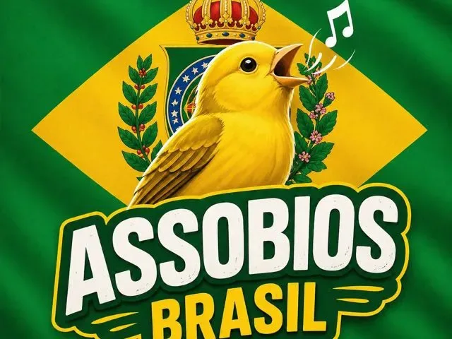 Imagem do grupo de WhatsApp Assobiadores BR