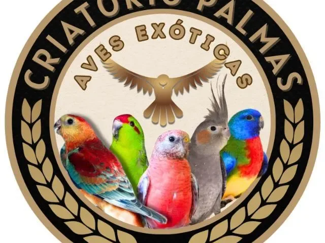 Imagem do grupo de WhatsApp Aves Exóticas Palmas TO