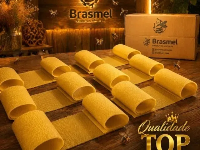 Imagem do grupo de WhatsApp Brasmel Oficial