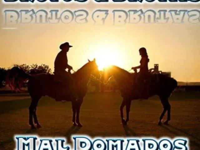 Imagem do grupo de WhatsApp Brutos e Brutas Mal Domados