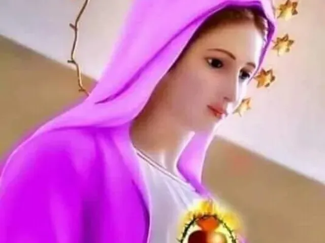 Imagem do grupo de WhatsApp Caminhando Com Maria II