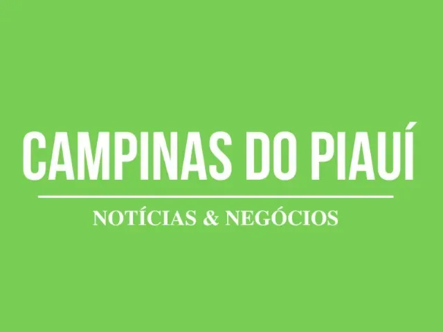 Imagem do grupo de WhatsApp Campinas do Piauí - Notícias e Negócios
