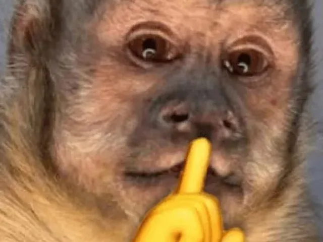 Imagem do grupo de WhatsApp Chat e Figurinhas