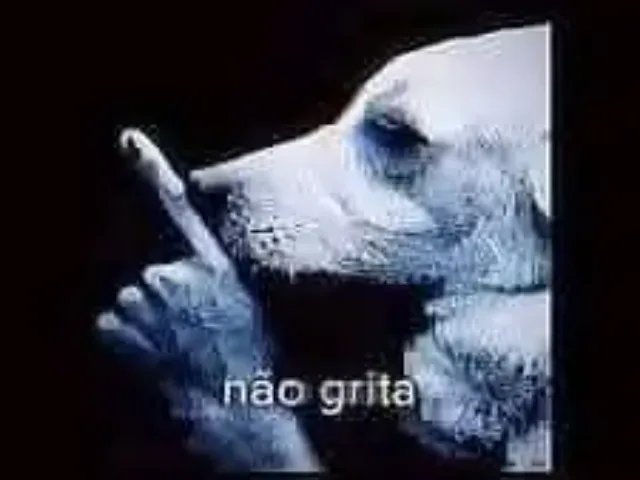 Imagem do grupo de WhatsApp Chat Web Zoeira Etc