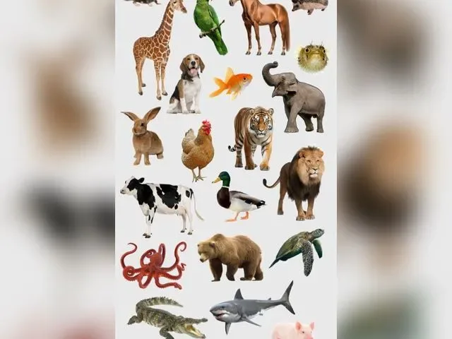 Imagem do grupo de WhatsApp Clube Do Zoológico