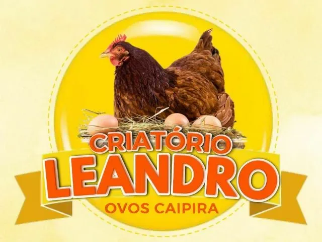 Imagem do grupo de WhatsApp Criatório Leandro 3