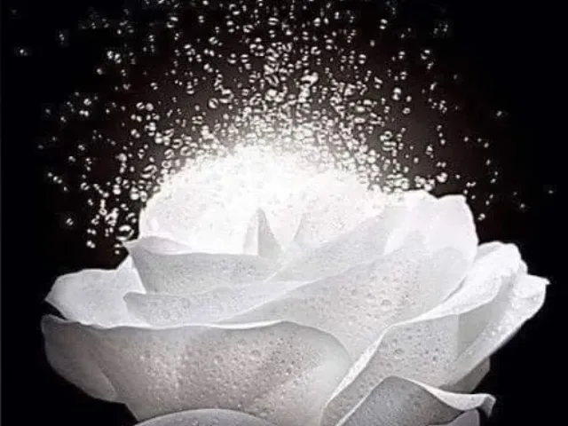 Imagem do grupo de WhatsApp DNA Cristico Amor e Luz