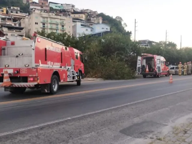 Imagem do grupo de WhatsApp Ecoserrano Trânsito e Denúncias