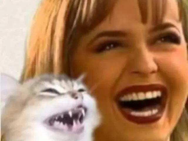 Imagem do grupo de WhatsApp Figurinhas Engraçadas