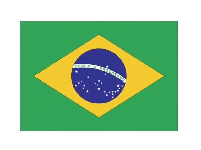 Imagem do grupo de WhatsApp GALERA CLÁSSICA DO 🇧🇷🇧🇷🇧🇷