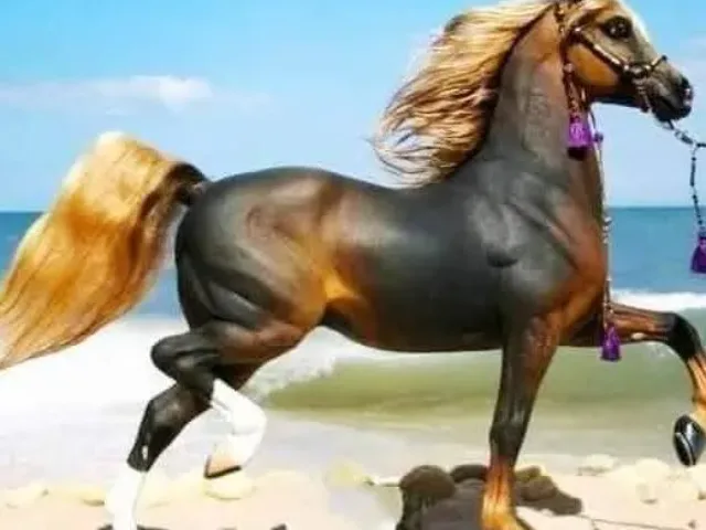 Imagem do grupo de WhatsApp Gauchos Rodeos