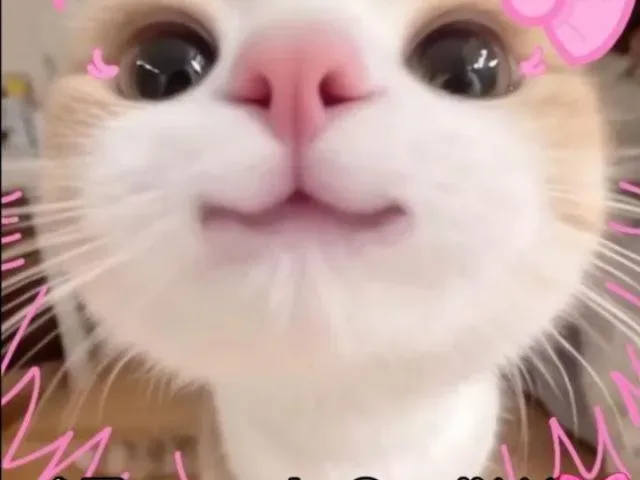 Imagem do grupo de WhatsApp Grupo De Amizade