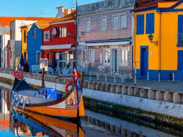 Imagem do grupo de WhatsApp Imigrantes Em Aveiro