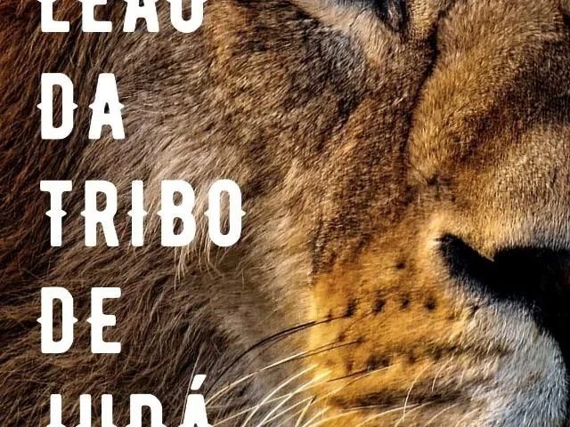 Imagem do grupo de WhatsApp Leao Da Tribo De Juda Ofc