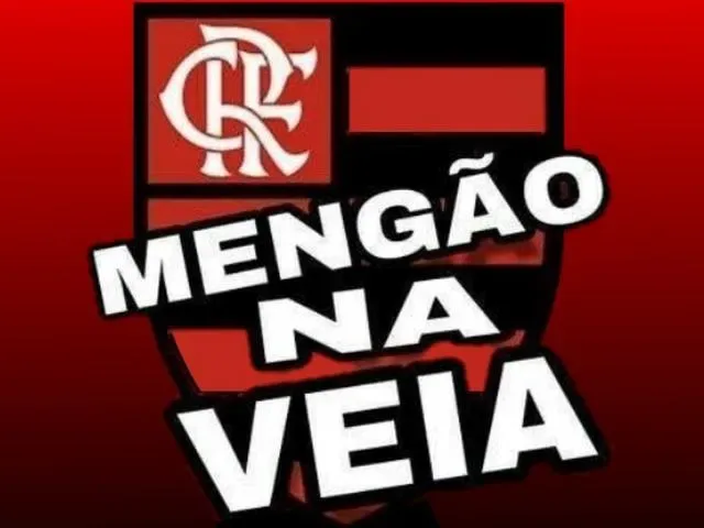 Imagem do grupo de WhatsApp Mengão Na Veia