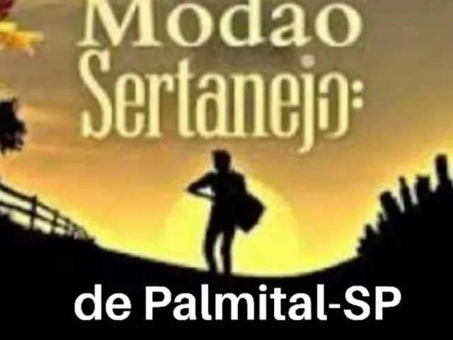Imagem do grupo de WhatsApp Modão Sertanejo Palmital