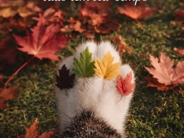 Imagem do grupo de WhatsApp Motivação