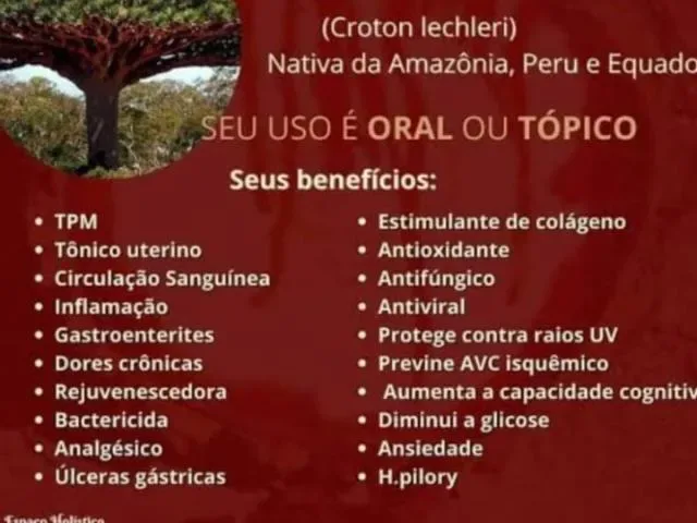 Imagem do grupo de WhatsApp Naturopatia De Deus: Curando Você