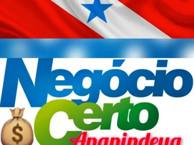Imagem do grupo de WhatsApp Negócio Certo Ananindeua