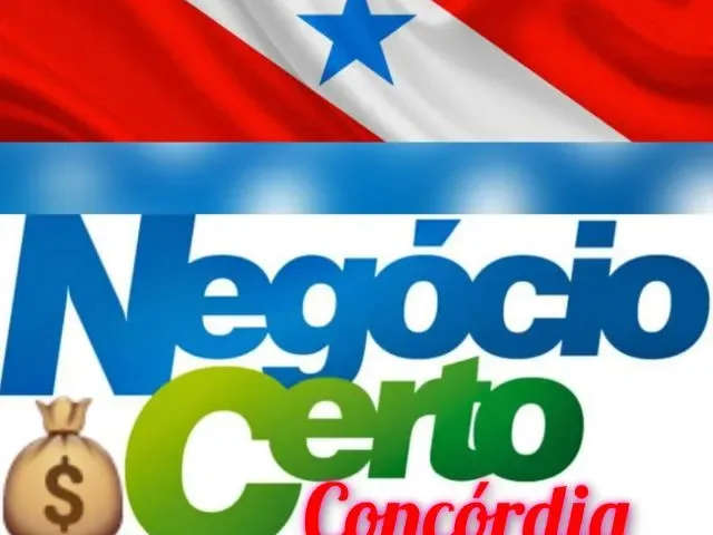 Imagem do grupo de WhatsApp Negócio Certo Concórdia PA