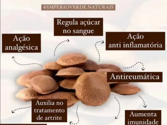 Imagem do grupo de WhatsApp Óleos:mata viva saúde e Longevidade 100 %puros,da melhor forma de extração e da melhor espécie...