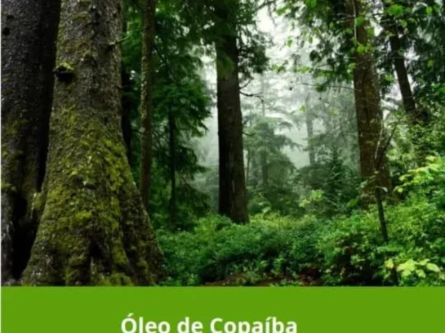 Imagem do grupo de WhatsApp ÓLEOS NATURAIS A CURA PELA NATUREZA