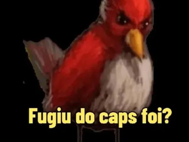 Imagem do grupo de WhatsApp Os Foragidos Do Cap's