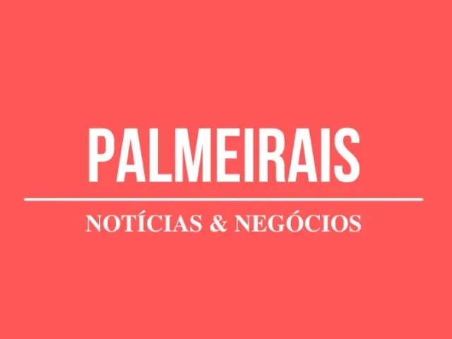 Imagem do grupo de WhatsApp Palmeirais - Notícias e Negócios
