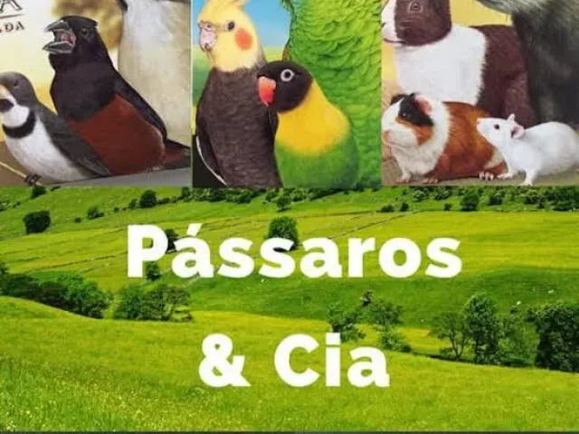 Imagem do grupo de WhatsApp Passaros e Cia SP
