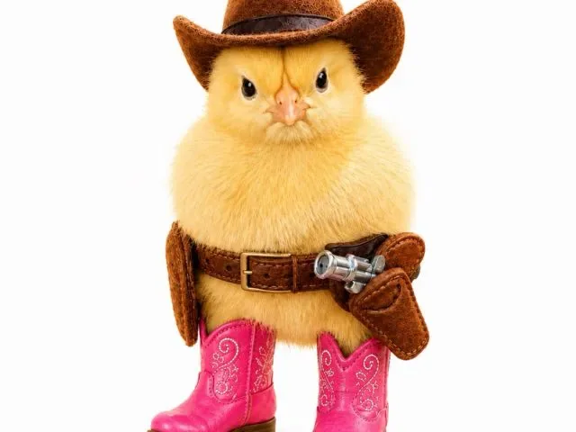 Imagem do grupo de WhatsApp Piu Piu Sticker Club