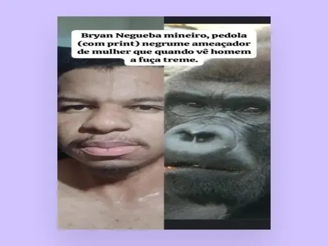 Imagem do grupo de WhatsApp Povo Carente