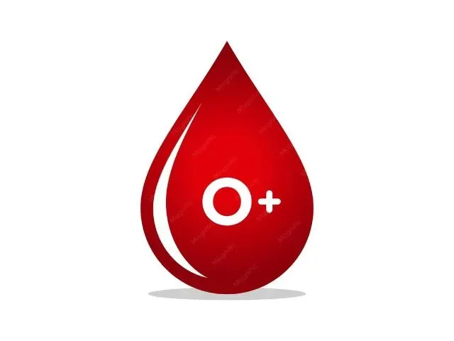 Imagem do grupo de WhatsApp Sangue Tipo O