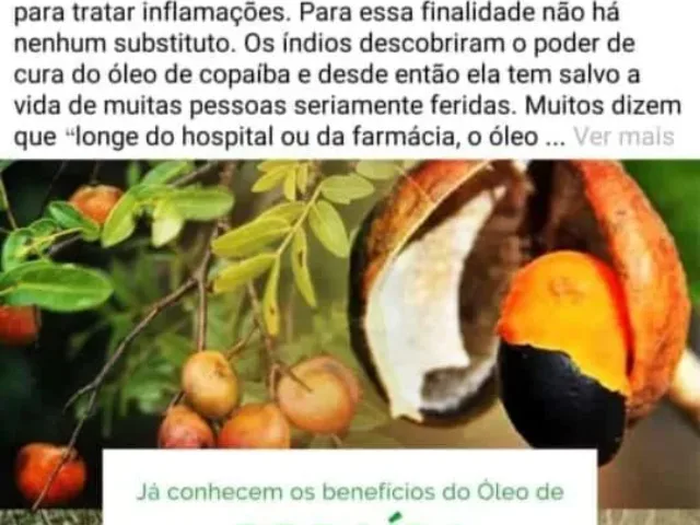Imagem do grupo de WhatsApp Saúde A Cura Pela Natureza