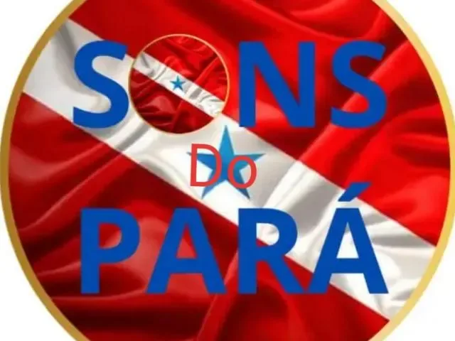 Imagem do grupo de WhatsApp Sons do Pará