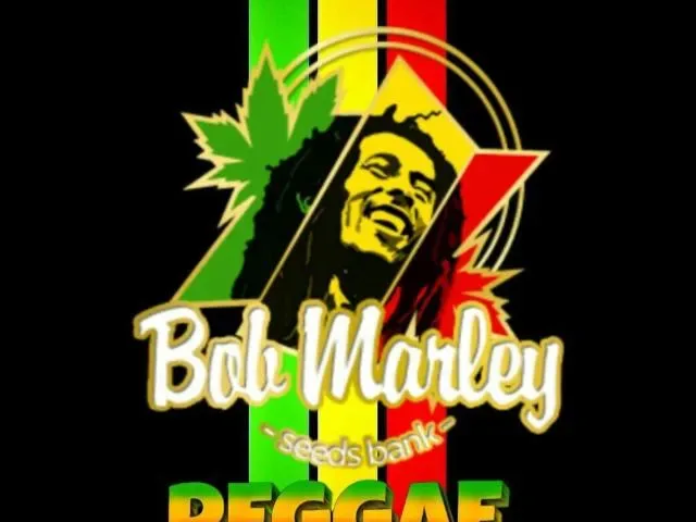 Imagem do grupo de WhatsApp Tianguá Reggae