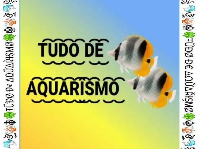 Imagem do grupo de WhatsApp Tudo De Aquarismo