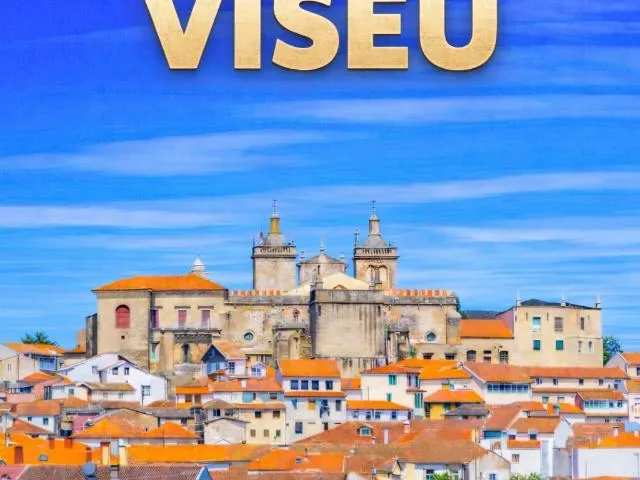 Imagem do grupo de WhatsApp Viseu Portugal