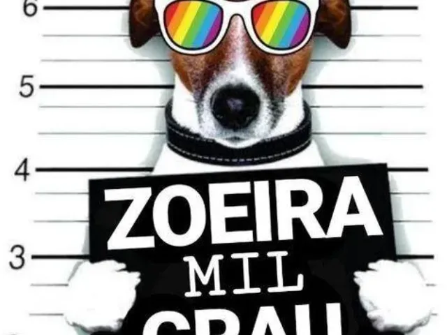 Imagem do grupo de WhatsApp Zoeira Mil Grau